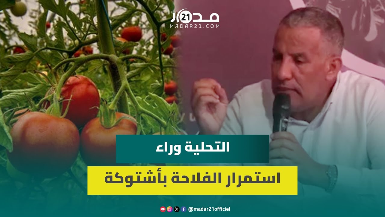 كيسى: التحلية وراء استمرار الفلاحة بأشتوكة ومحطة تارودانت بدراسات متقدمة