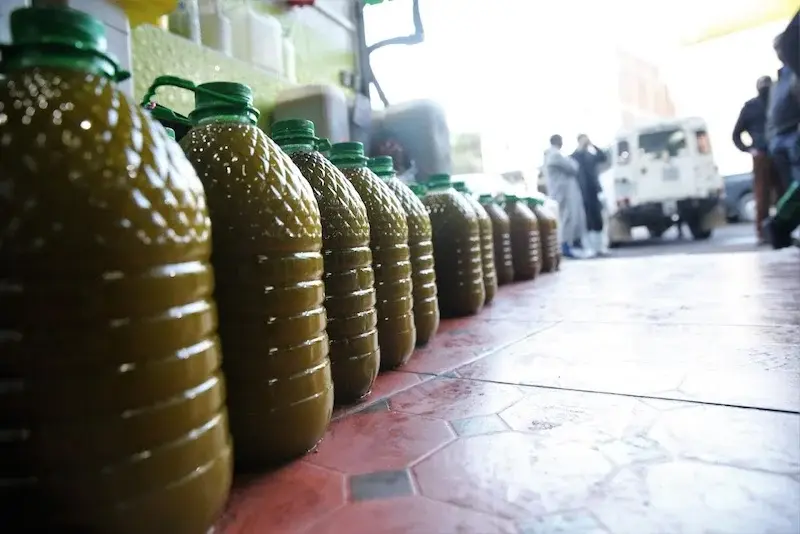 استيراد زيت الزيتون من تونس يغضب تجارا مغاربة