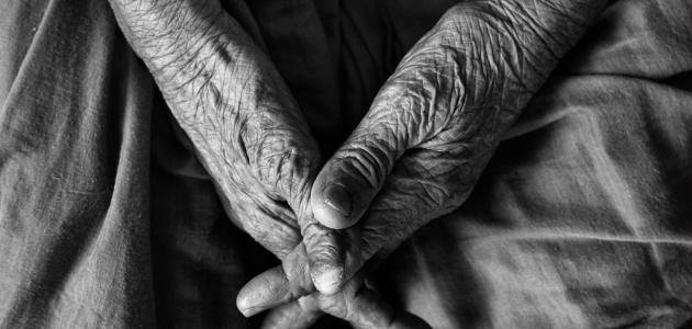 دراسة: تقليل حمض الفوليك قد يؤخر الشيخوخة