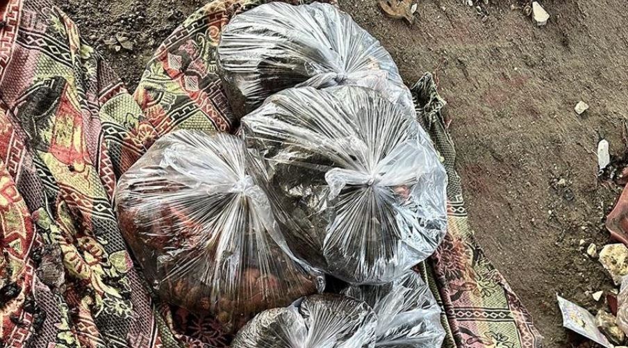 قتلتهم إسرائيل.. عائلات بغزة تتسلم أشلاء أبنائها في أكياس