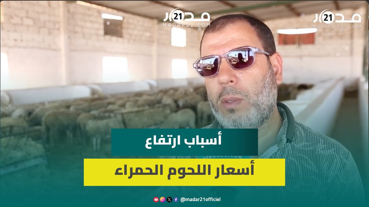 مهني يوضح أسباب ارتفاع أسعار اللحوم الحمراء “الجفاف عامل أساسي ولابد من وضع برنامج يعالج الوضع”