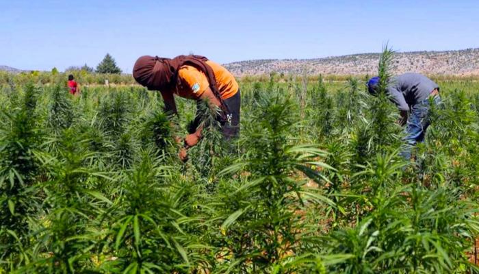 مستفيدون من العفو الملكي يثمنون هذه الالتفاتة الملكية