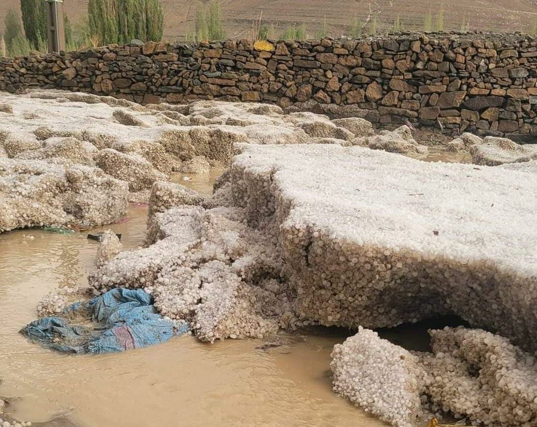الأمطار و”البرد” يخلفان خسائر فلاحية فادحة بإملشيل والسلطات تبدأ في إحصاء الأضرار