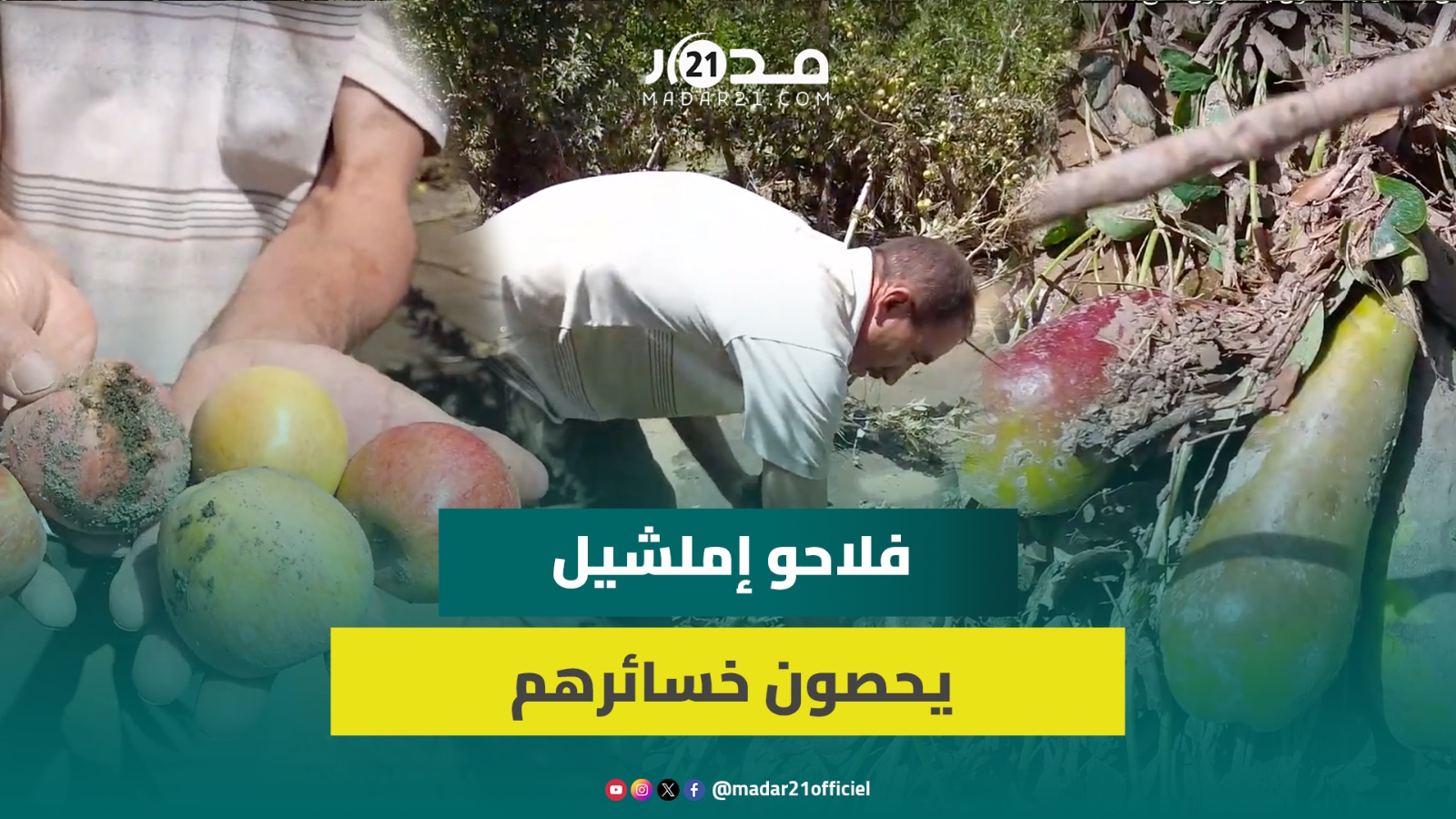 مباشر من إملشيل.. فلاحون يتحسرون على محاصيلهم وفقدان ماشيتهم بعد تساقط البرد والأمطار