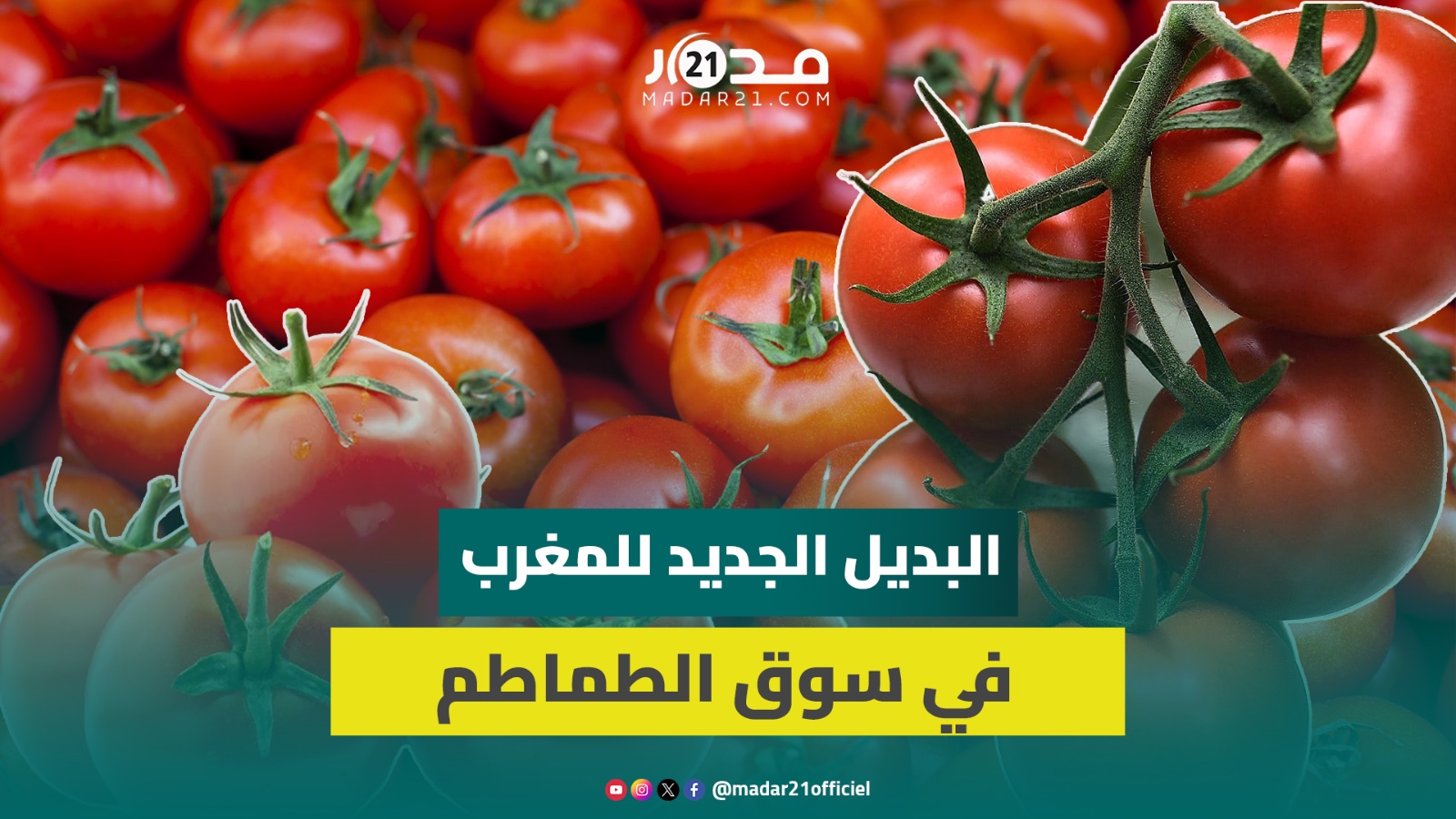 هل أصبحت البرتغال البديل الجديد للمغرب في سوق الطماطم الإسبانية؟