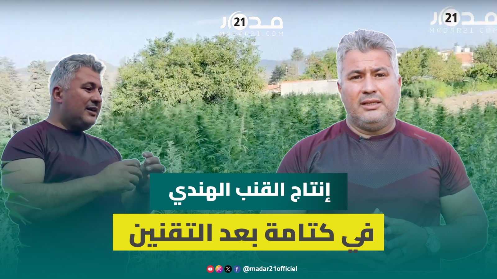 رئيس تعاونية: نشتغل لتغيير الصورة النمطية عن كتامة وحصرها بإنتاج الحش.يش