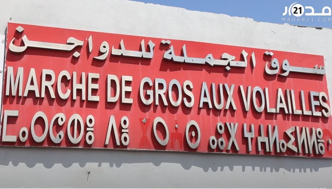 مطالب بلجنة تفتيش رسمية لرصد اختلالات أسعار الدواجن بالبيضاء