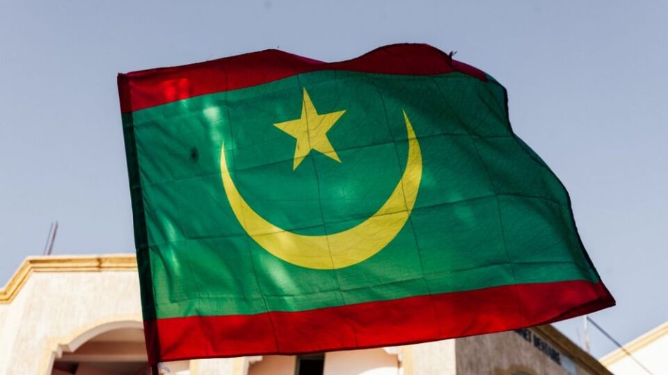 موريتانيا تطلق حملة لمكافحة الآفات الزراعية