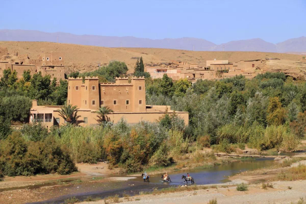 “فاو”: ميثاق الواحات المستدامة بالمغرب مشروع مهم