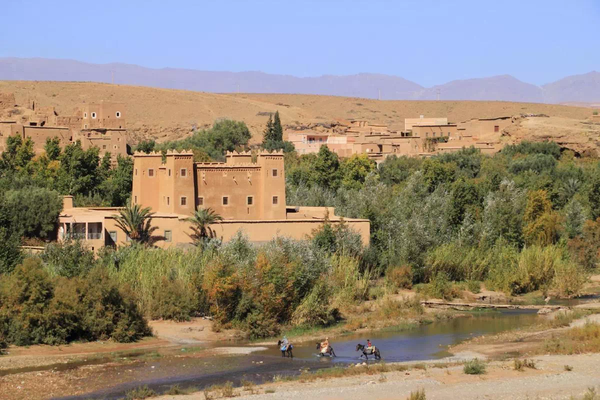 “فاو”: ميثاق الواحات المستدامة بالمغرب مشروع مهم