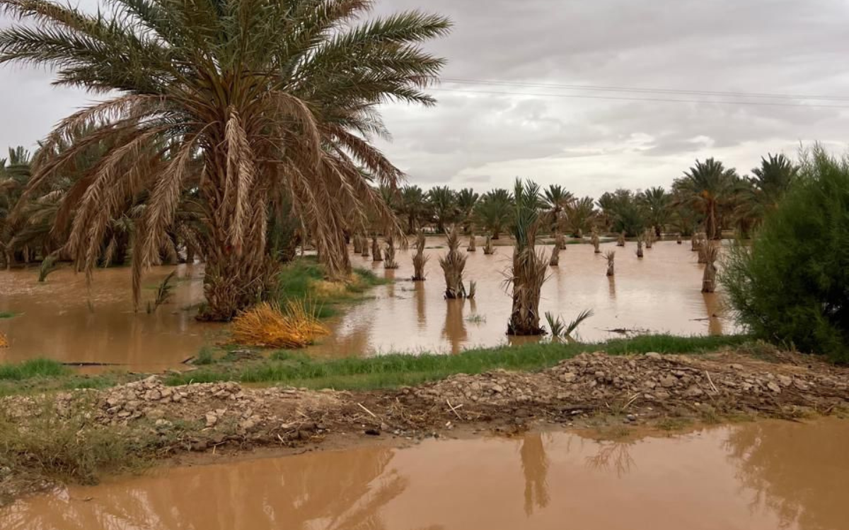 فيضانات طاطا تُعرّي هشاشة البنى التحتية وتسائل تنمية “المغرب العميق”
