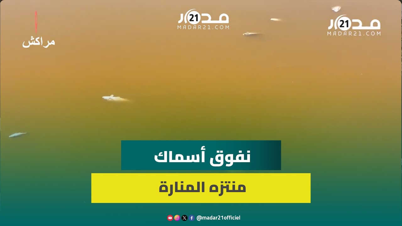 لم تعرف الأسباب.. نفوق أسماك منتزه المنارة بمراكش ينذر بكار.ثة بيئية