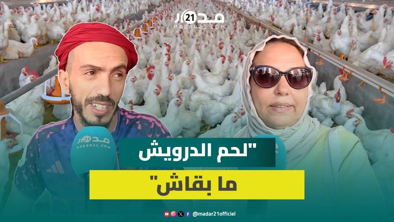 مهني يتوقع استقرار أسعار الدجاج في 20 درهما ويؤكد: الطلب ما بقاش على الدجاج والغلاء كرهنا فحرفتنا