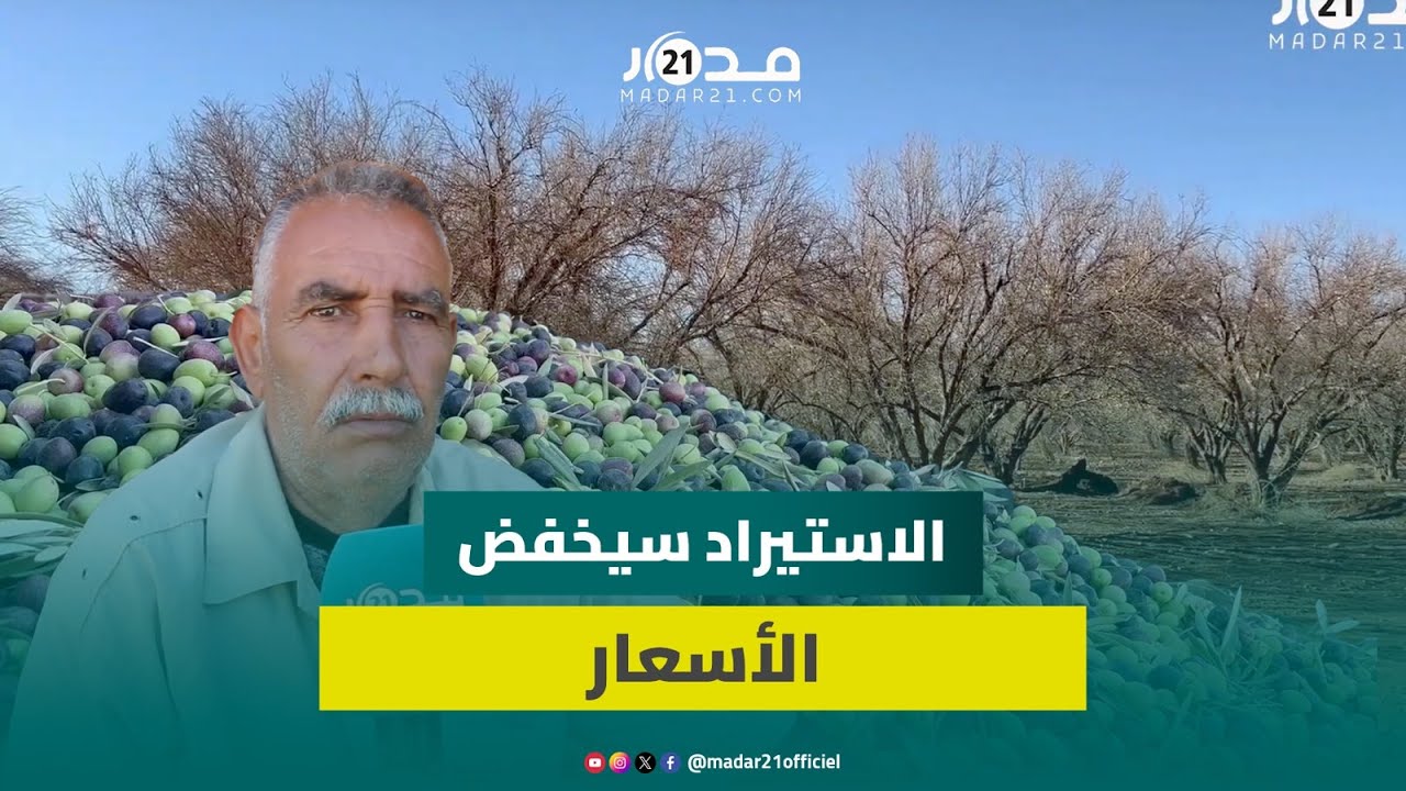 90 درهما للتر.. تجار الزيتون بقلعة السراغنة يتوقعون انخفاض أسعار زيت الزيتون رغم الجفاف