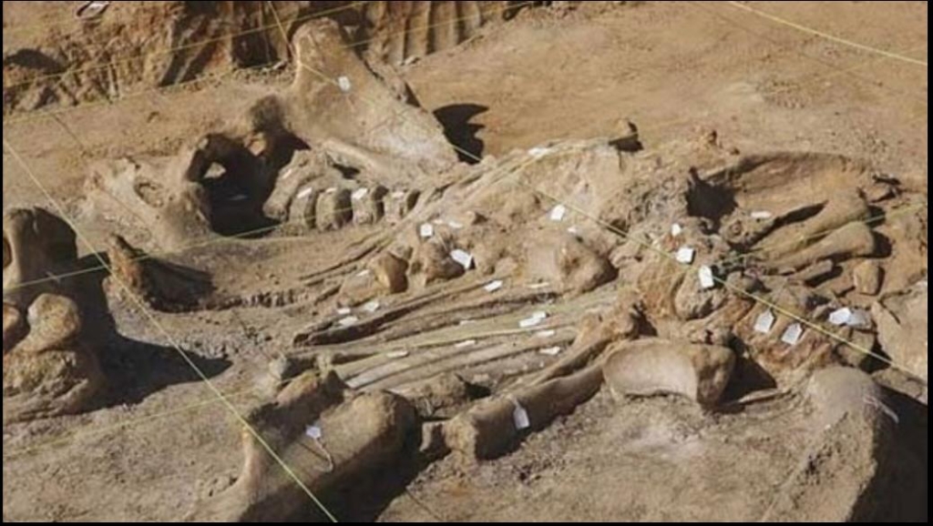 علماء يكتشفون واحدة من أقدم الحفريات في العالم
