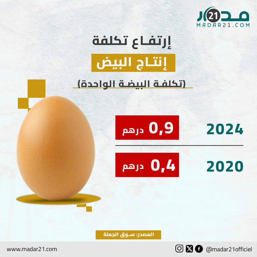 ارتفاع تكلفة إنتاج البيض