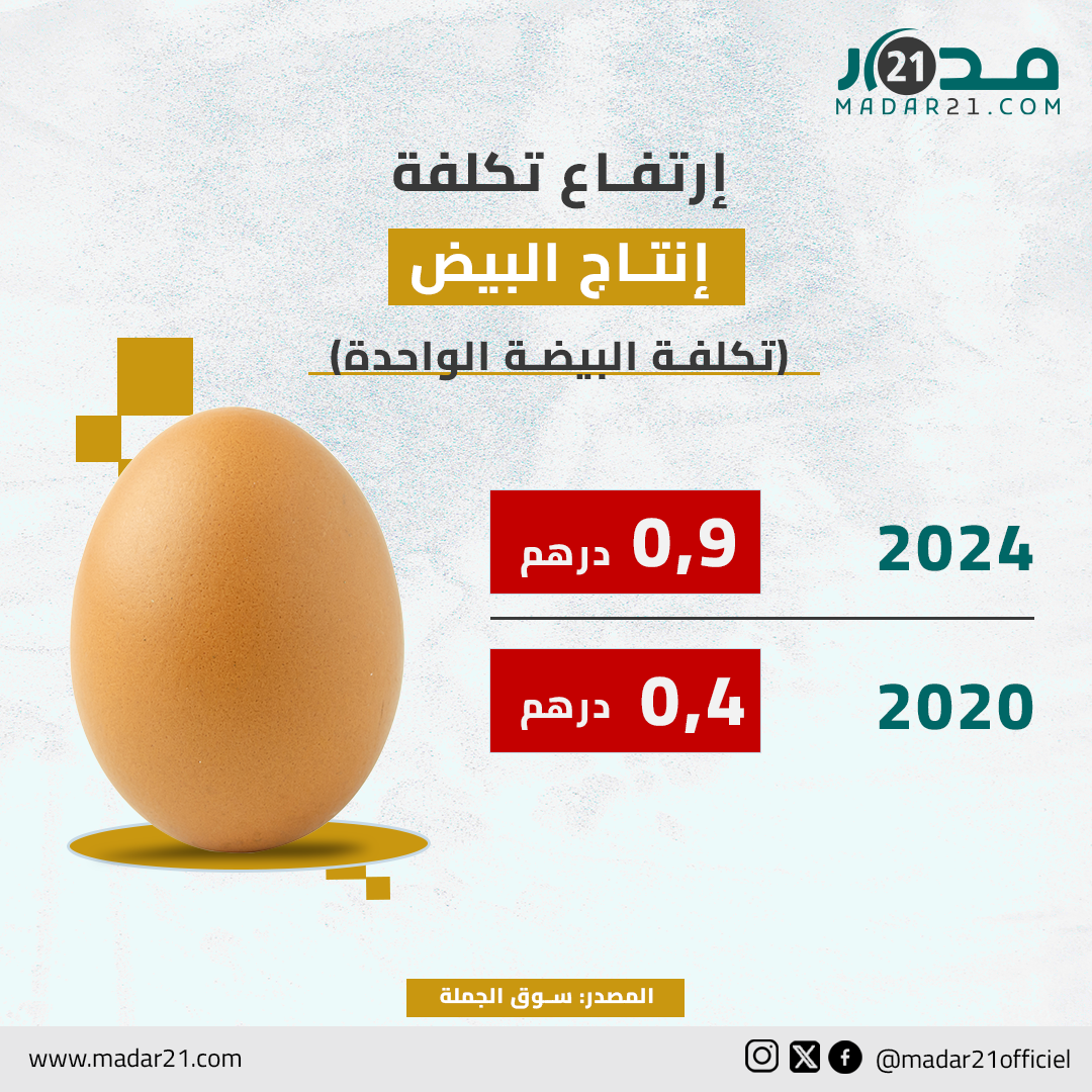 ارتفاع تكلفة إنتاج البيض