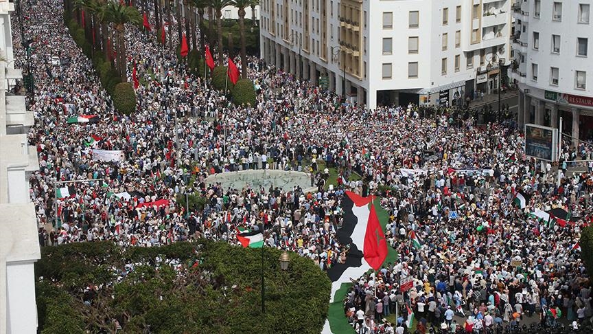 تضامن طلاب المغرب مع فلسطين.. معركة الوعي وإيقاف التطبيع