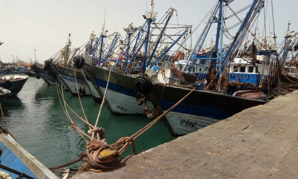 انخفاض مفرغات الصيد الساحلي والتقليدي