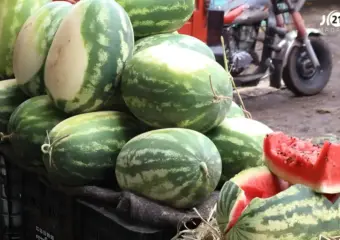 تقنين زراعة البطيخ بزاكورة بين حماية الفرشة المائية وإنصاف الفلاحين