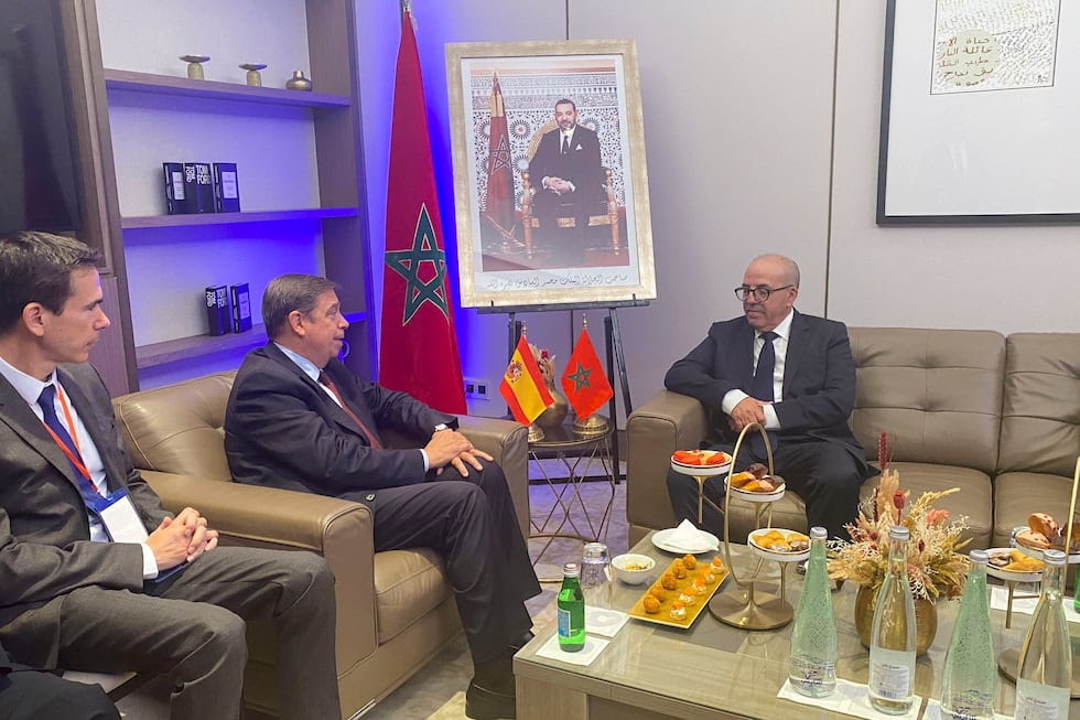 البواري يؤكد تمسك المغرب باستيراد المواشي من جاره الموثوق إسبانيا