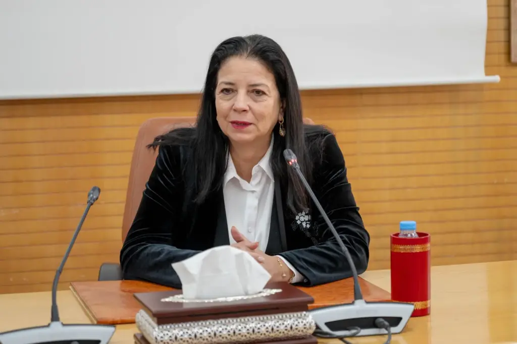 السغروشني: المغرب اختار تنمية رقمية دامجة للنساء