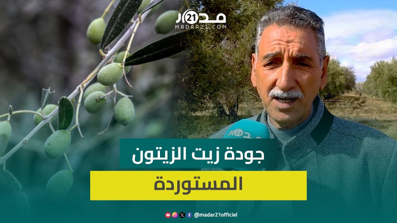 خبير فلاحي يكشف جودة الزيوت المستوردة وعيوبها وأسعار الزيت بالمغرب وطرق الحفاظ عليها ورفع الإنتاج