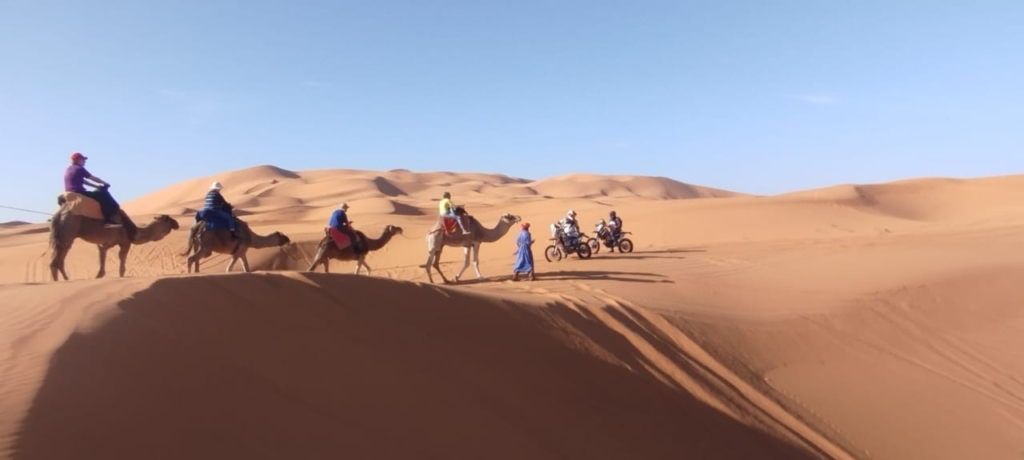 “فوضى” السيارات والدراجات برمال مرزوكة تقلق فاعلين