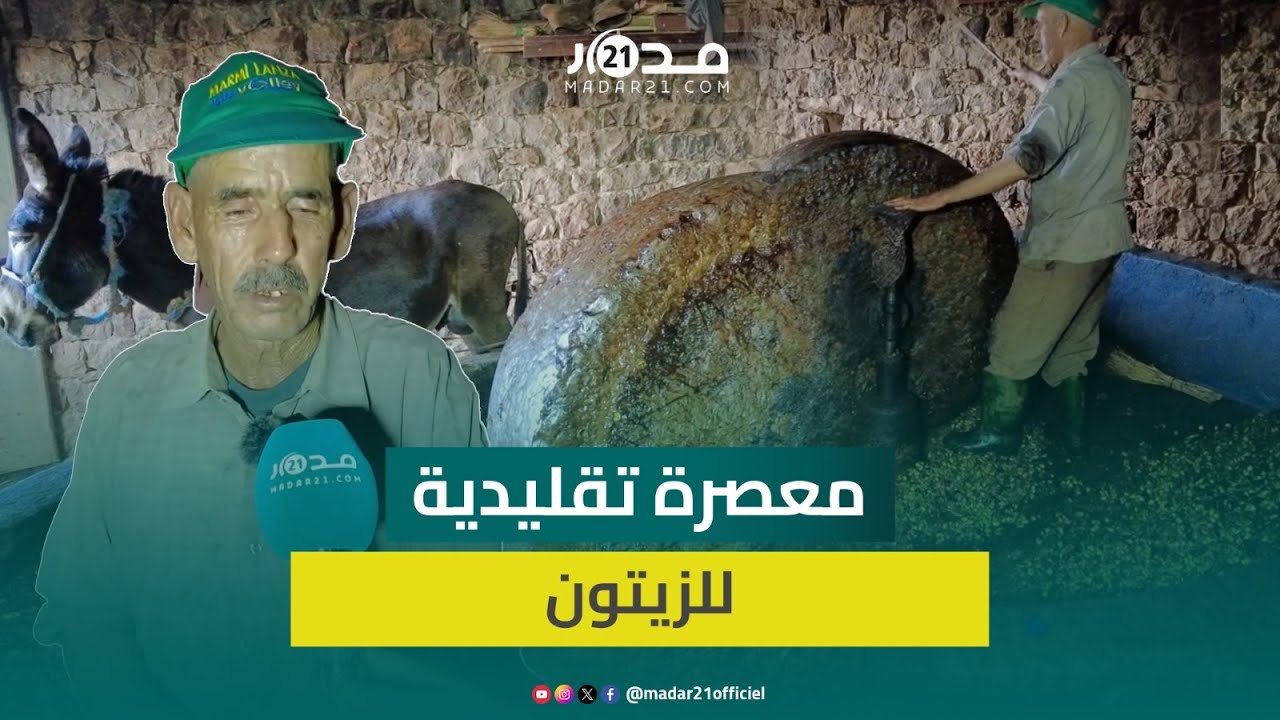 بأساليب عصر أصيلة.. فلاح يحافظ على وسائل تقليدية في إنتاج زيت الزيتون: نعصر ب100 درهم للقنطار