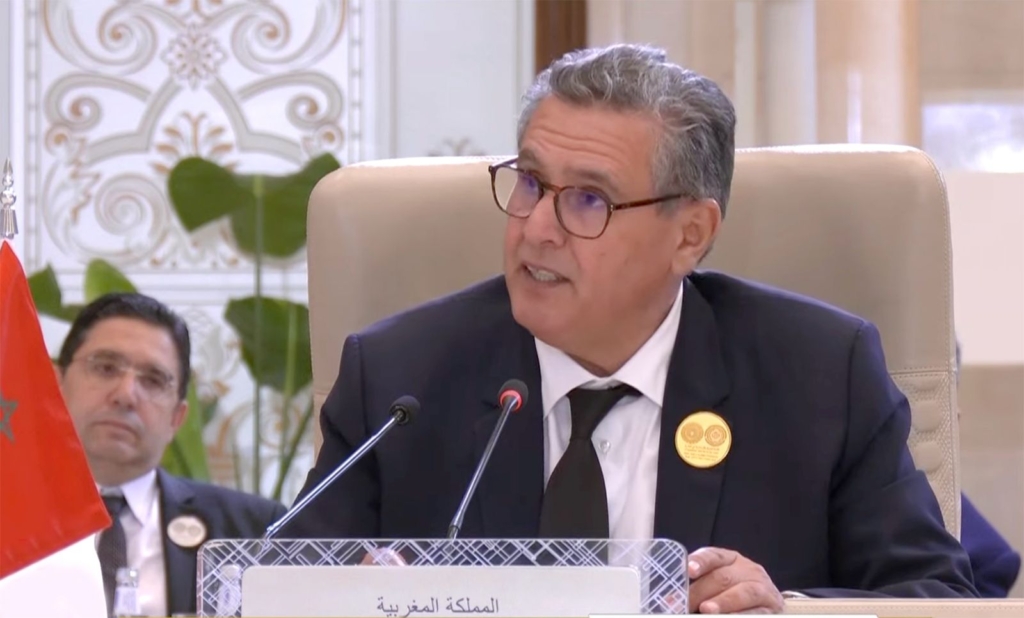 أخنوش: تصعيد إسرائيل بلبنان يقود المنطقة إلى مرحلة يصعب التكهن بملامحها