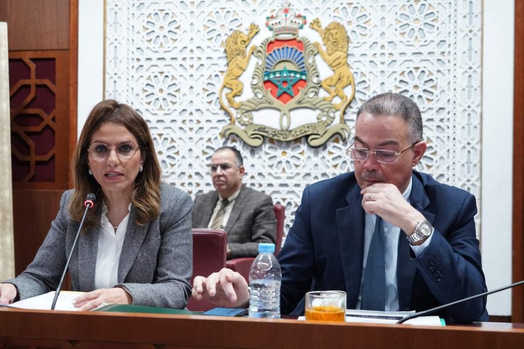 لقجع: جمعيات تستغل غطاء العمل الخيري لممارسة أنشطة تجارية
