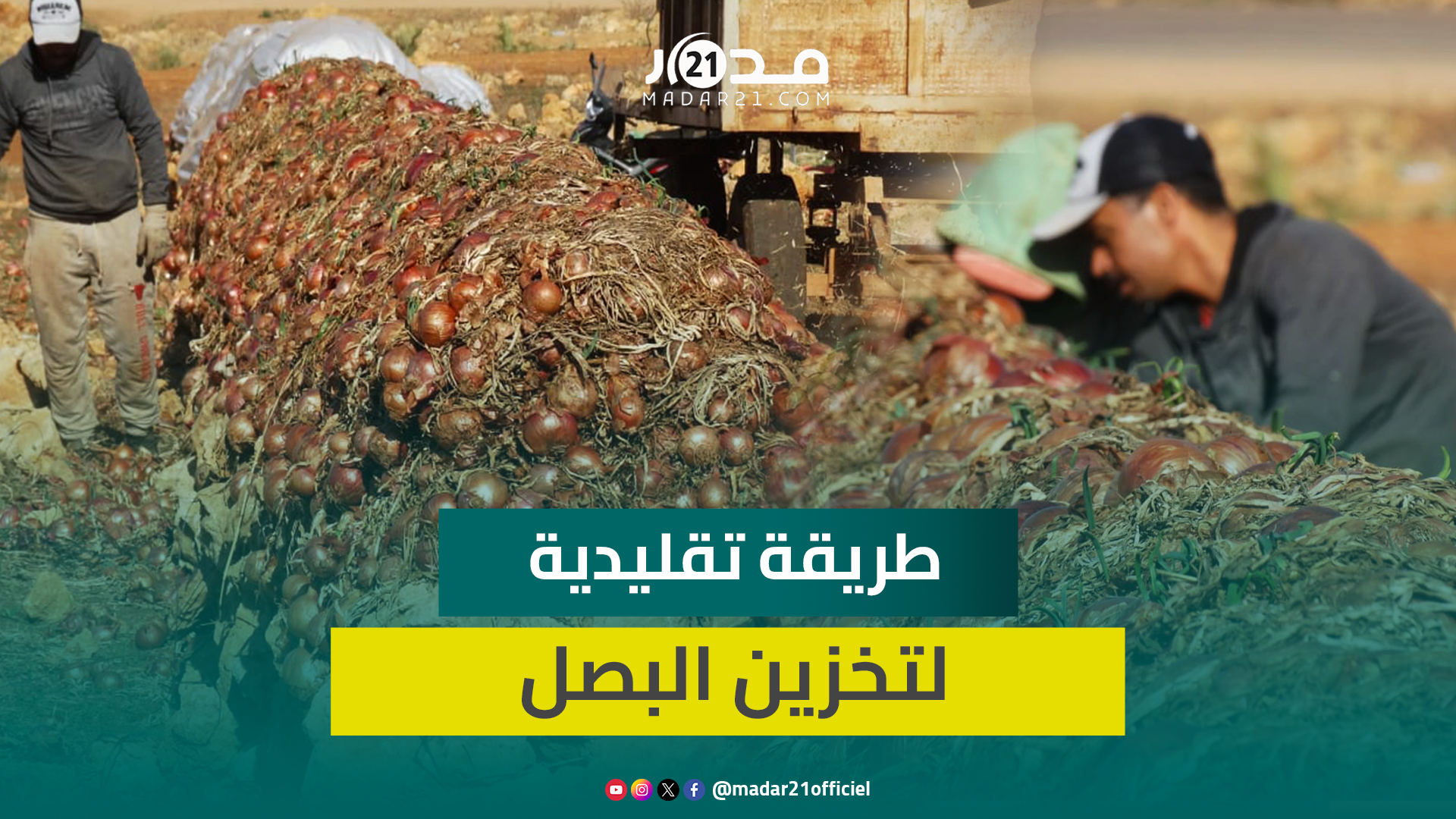 متوارثة عن الأجداد.. هذه تقنيات تخزين البصل بطريقة تقليدية تغني فلاحي بودربالة عن اللجوء “للفريݣو”
