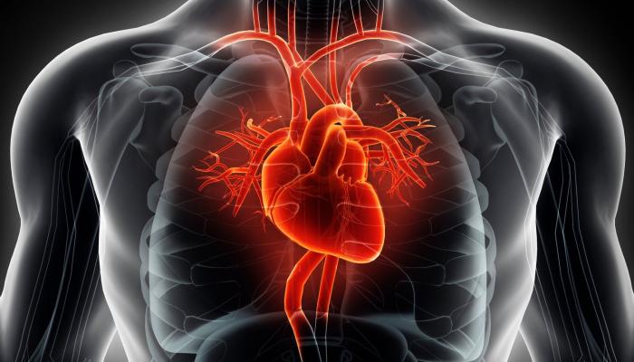 تعرف على معدل ضربات قلبك المثالي قياسا لعمرك