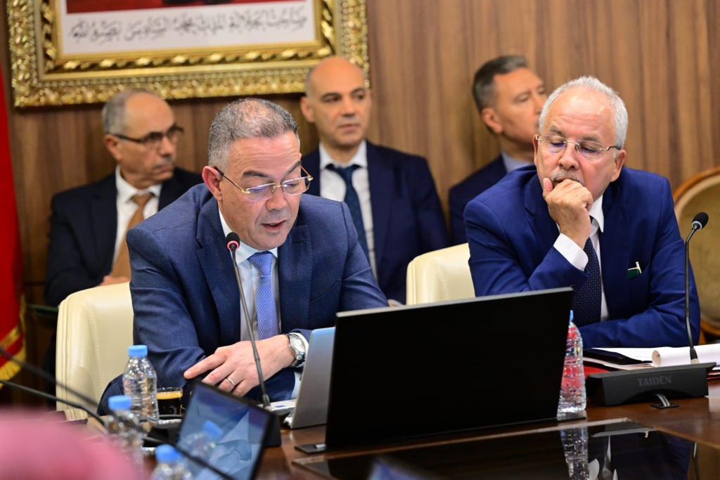 إعفاءات ضريبية وتسهيلات جمركية.. لقجع يكشف تفاصيل تحفيزات قطاع الفن