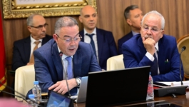 إعفاءات ضريبية وتسهيلات جمركية.. لقجع يكشف تفاصيل تحفيزات قطاع الفن