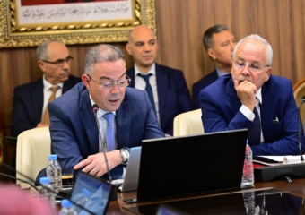 إعفاءات ضريبية وتسهيلات جمركية.. لقجع يكشف تفاصيل تحفيزات قطاع الفن