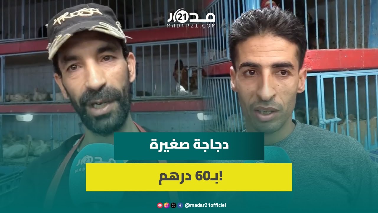 مهنيو الدجاج بالدار البيضاء يشكون غلاء اللحوم البيضاء: السوق خاوي والويكاند تيزيدو الثمن بلعاني