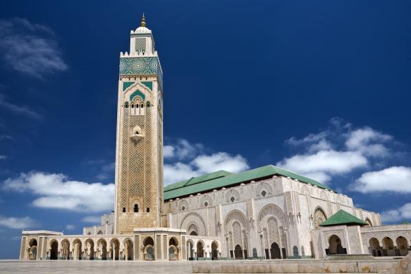 نحو فهم أعمق لتنزيل الفكر قراءةً للثوابت الدينية والمتغيرات السياسية في المغرب
