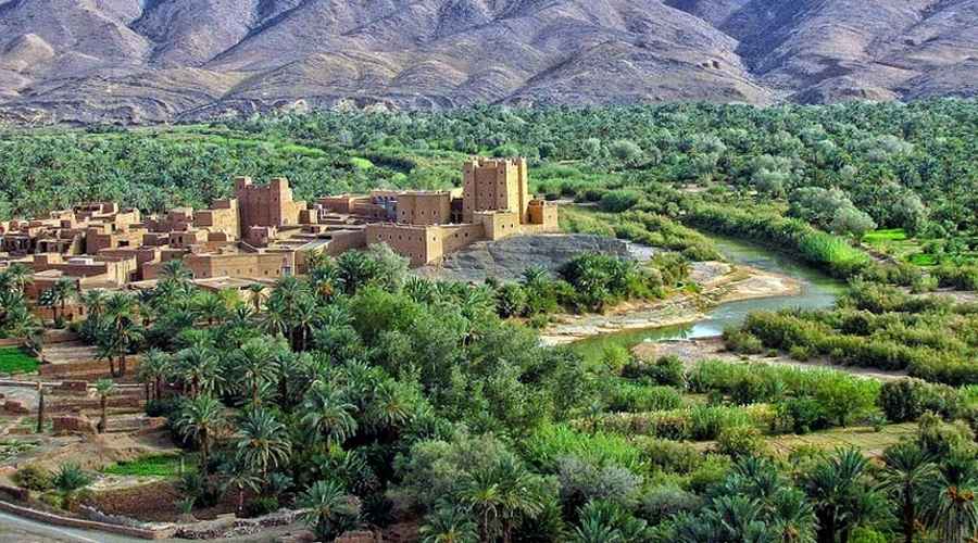 نضوب المياه يهدد الواحات والحكومة تتدخل بحوالي 400 مليون درهم