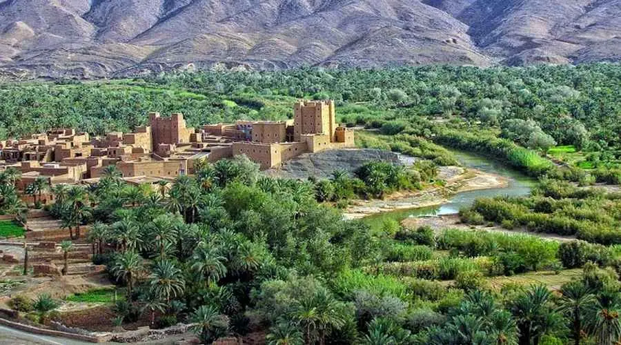 نضوب المياه يهدد الواحات والحكومة تتدخل بحوالي 400 مليون درهم