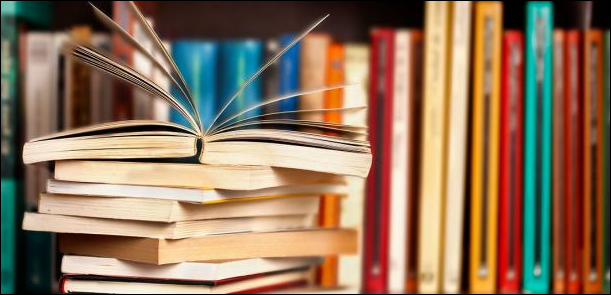 الصويرة تحتفي بالشعر واللغة العربية
