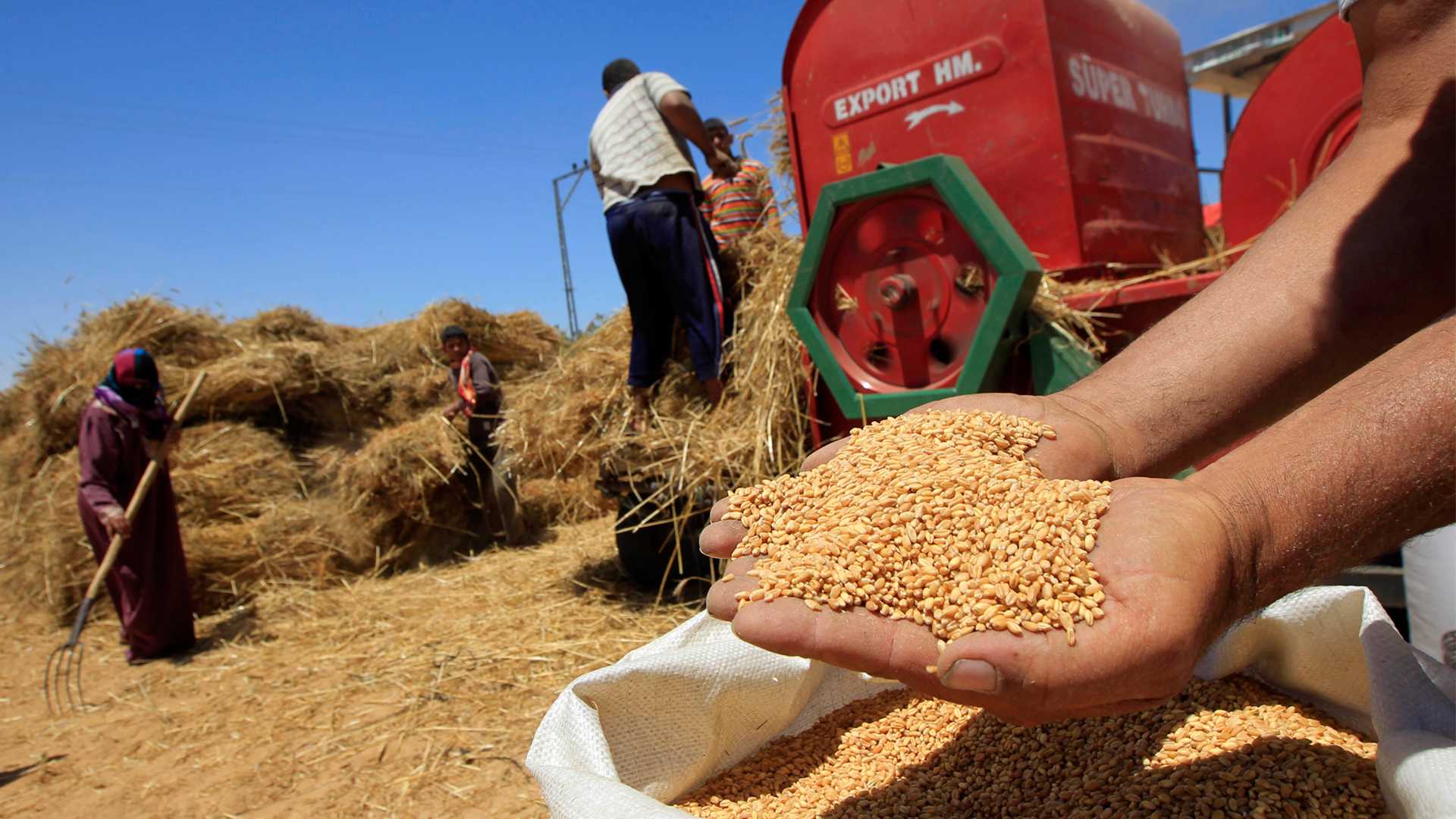 المغرب يستغل 56% فقط من إمكانيات طحن الحبوب ومطاحن مغلقة لأكثر من سنتين