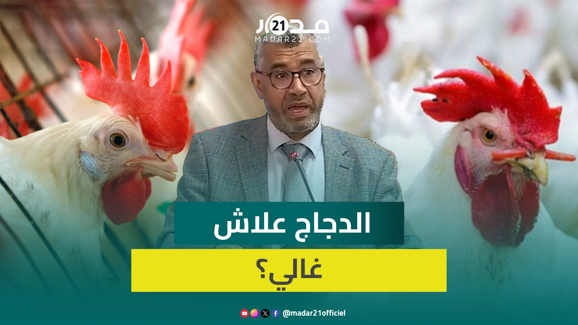 الدجاج علاش غالي؟ بوانو يستنكر غلاء اللحوم البيضاء ويدين الاحتكار والتلاعب في السوق