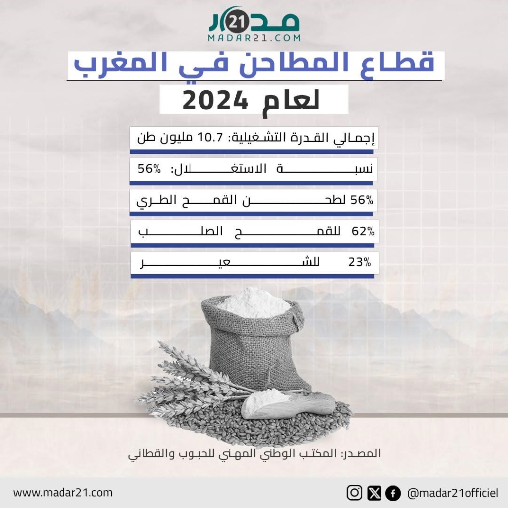 قطاع المطاحن في المغرب لعام 2024