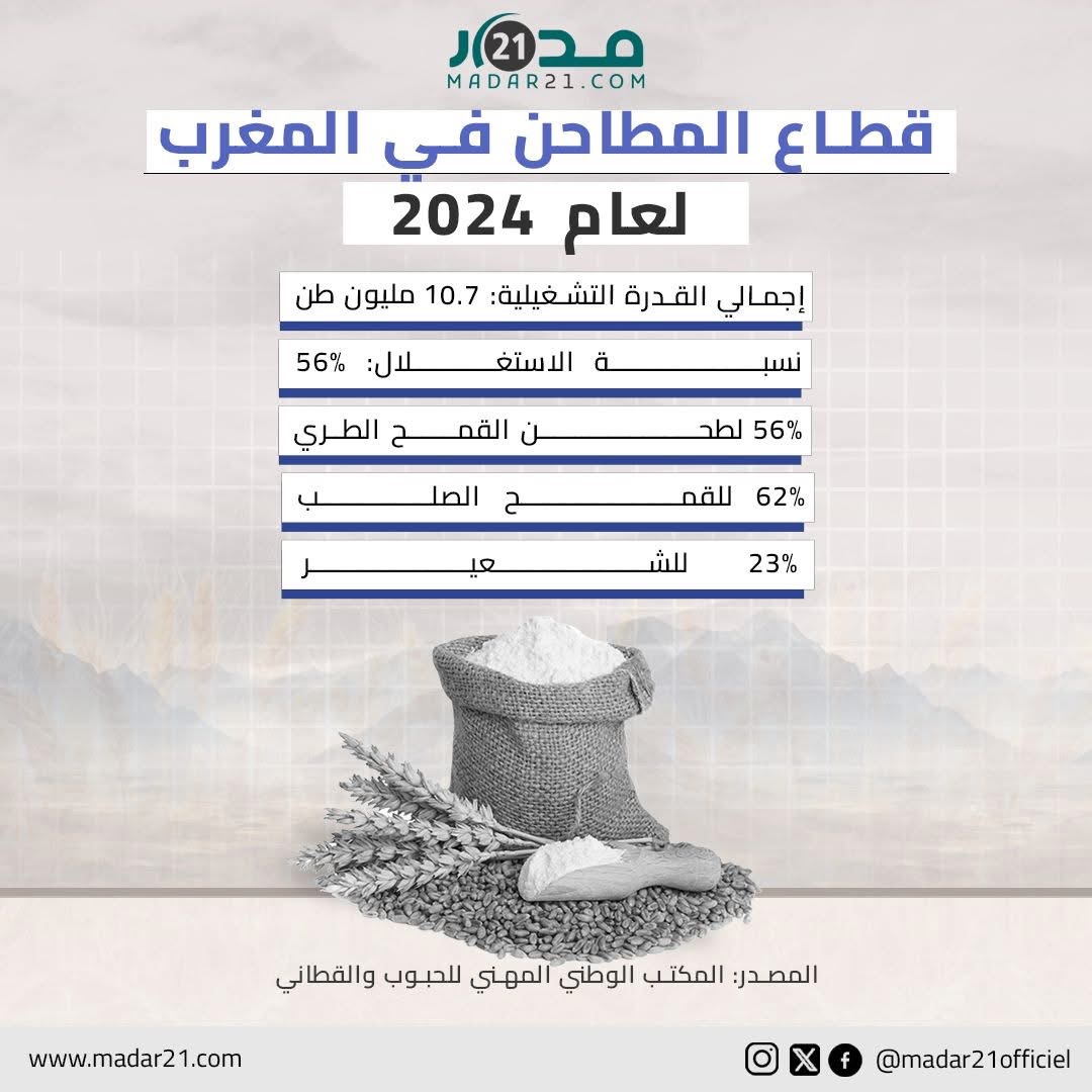 قطاع المطاحن في المغرب لعام 2024