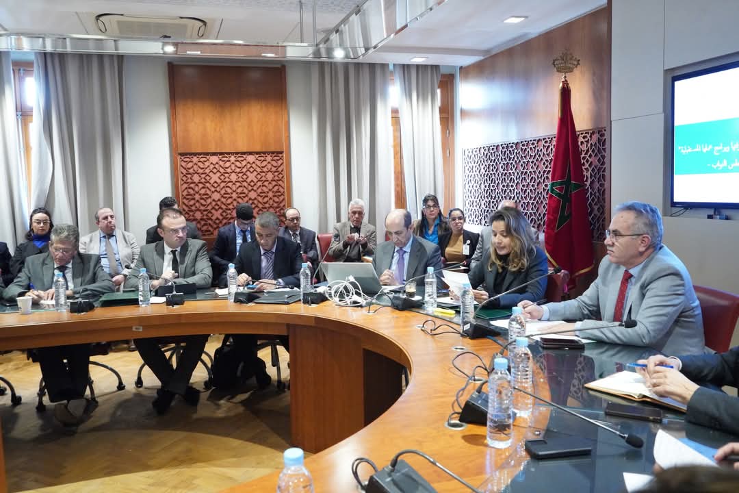 بنعلي: النجاعة الطاقية ستخلق 100 ألف عمل وستخفض استهلاك الإنارة العمومية ب40%