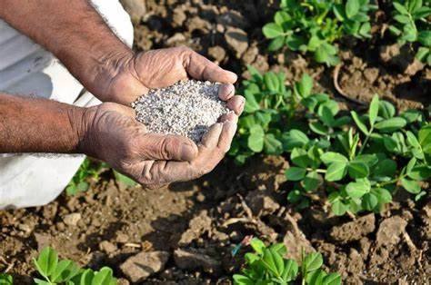 استياء نقابي لنقل مركز توزيع الأسمدة بمكناس