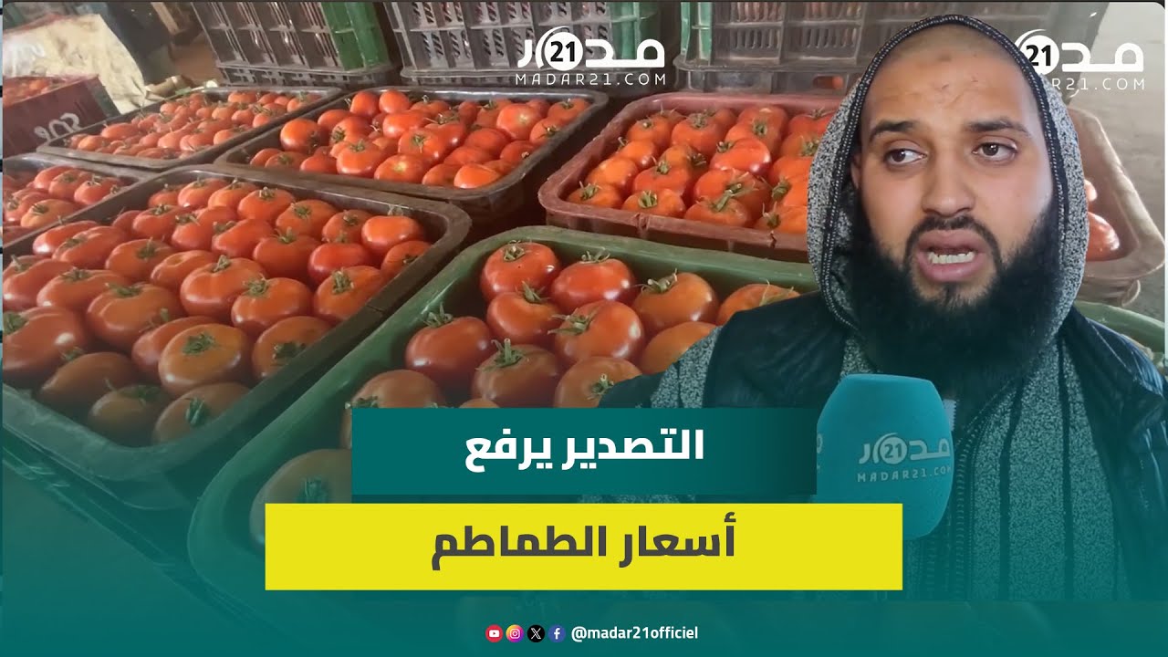 بائع جملة بمراكش يوضح أسباب غلاء الطماطم: التصدير يرفع الأسعار والمليح وراس السوق تيمشي خارج المغرب