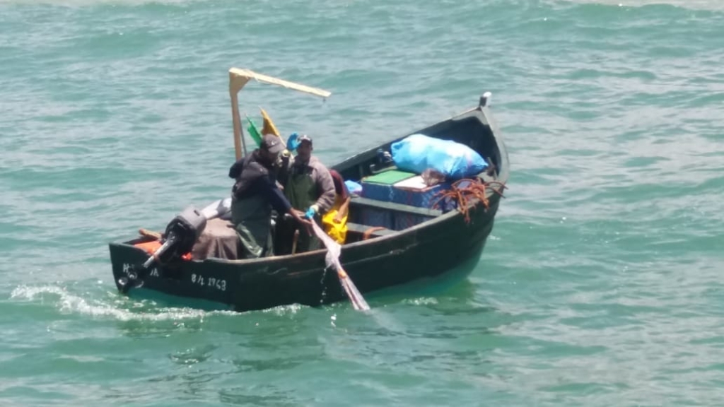 هواتف ذكية لحماية الصيادين المغاربة من هجمات الحيتان القاتلة