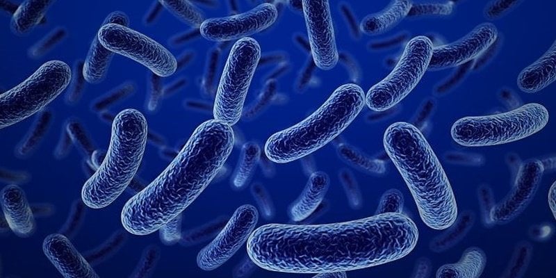 الاشتباه بتسبب فيروس “ماربورغ” في 8 وفيات بتنزانيا